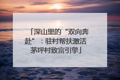 深山里的“双向奔赴”：驻村帮扶激活茅坪村致富引擎