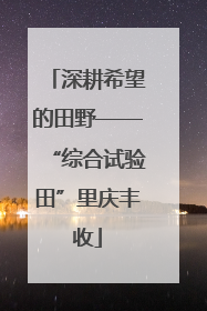 深耕希望的田野——“综合试验田”里庆丰收