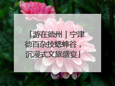 游在德州｜宁津德百杂技蟋蟀谷，沉浸式文旅盛宴