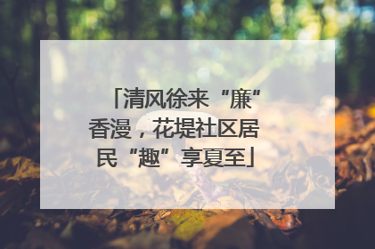 清风徐来“廉”香漫，花堤社区居民“趣”享夏至