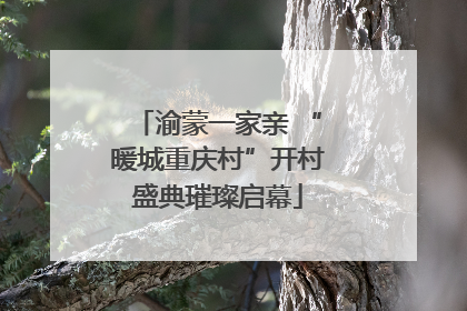 渝蒙一家亲 “暖城重庆村”开村盛典璀璨启幕