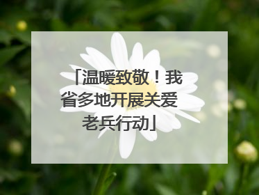 温暖致敬！我省多地开展关爱老兵行动