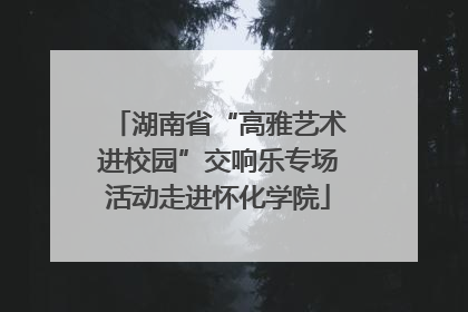 湖南省“高雅艺术进校园”交响乐专场活动走进怀化学院