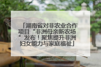 湖南省对非农业合作项目“非洲母亲新农场”发布！聚焦提升非洲妇女能力与家庭福祉