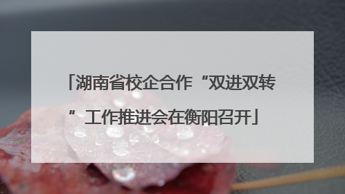 湖南省校企合作“双进双转”工作推进会在衡阳召开