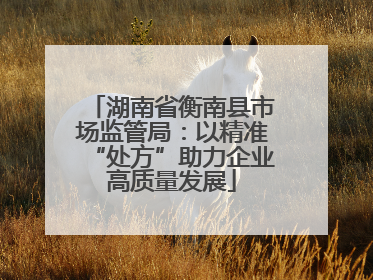 湖南省衡南县市场监管局：以精准“处方”助力企业高质量发展
