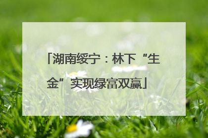 湖南绥宁：林下“生金”实现绿富双赢