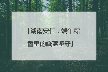 湖南安仁：端午粽香里的藏蓝坚守