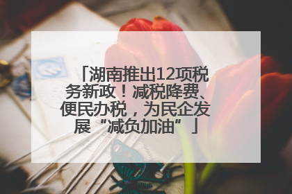 湖南推出12项税务新政！减税降费、便民办税，为民企发展“减负加油”