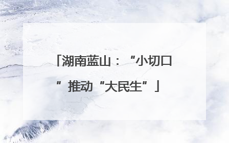 湖南蓝山：“小切口”推动“大民生”