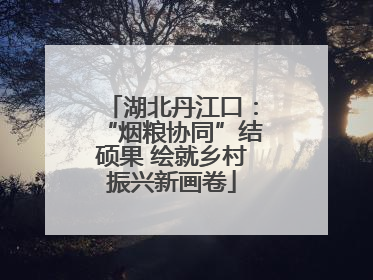 湖北丹江口：“烟粮协同”结硕果 绘就乡村振兴新画卷