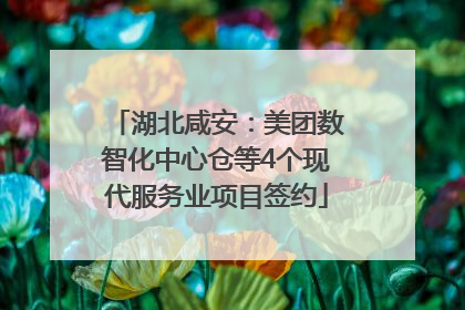 湖北咸安：美团数智化中心仓等4个现代服务业项目签约