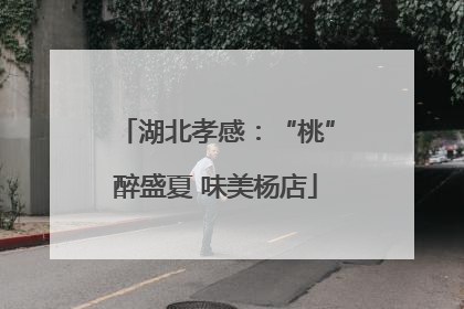 湖北孝感：“桃”醉盛夏 味美杨店