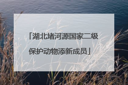 湖北堵河源国家二级保护动物添新成员
