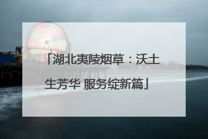 湖北夷陵烟草：沃土生芳华 服务绽新篇