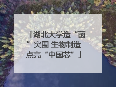 湖北大学造“菌”突围 生物制造点亮“中国芯”