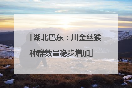 湖北巴东：川金丝猴种群数量稳步增加