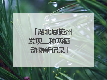 湖北恩施州发现三种两栖动物新记录