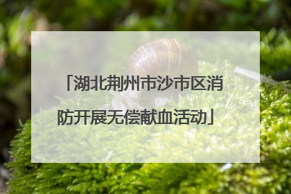 湖北荆州市沙市区消防开展无偿献血活动
