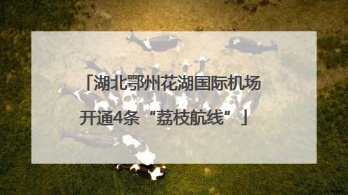 湖北鄂州花湖国际机场开通4条“荔枝航线”