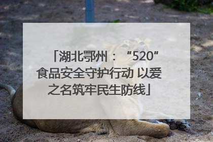 湖北鄂州：“520”食品安全守护行动 以爱之名筑牢民生防线