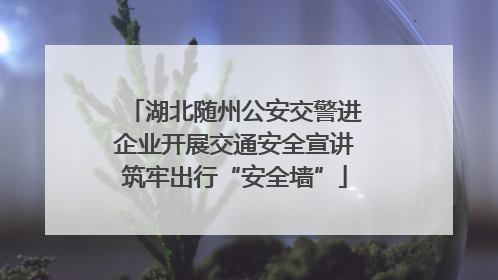 湖北随州公安交警进企业开展交通安全宣讲筑牢出行“安全墙”