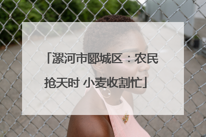 漯河市郾城区：农民抢天时 小麦收割忙