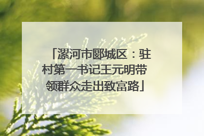 漯河市郾城区：驻村第一书记王元明带领群众走出致富路