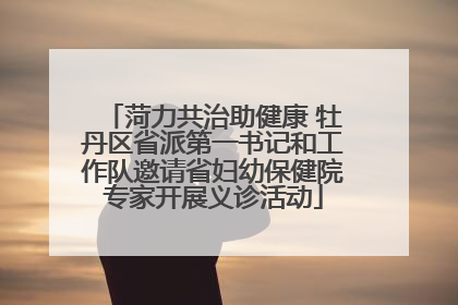 菏力共治助健康 牡丹区省派第一书记和工作队邀请省妇幼保健院专家开展义诊活动