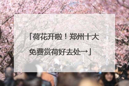 荷花开啦！郑州十大免费赏荷好去处→