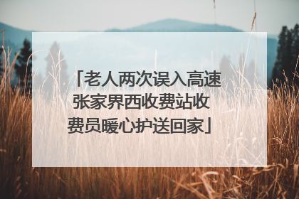 老人两次误入高速 张家界西收费站收费员暖心护送回家