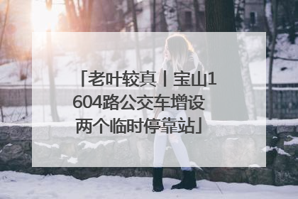 老叶较真丨宝山1604路公交车增设两个临时停靠站