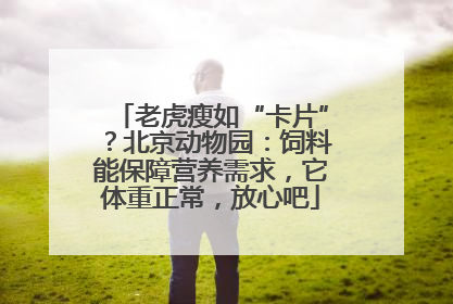老虎瘦如“卡片”？北京动物园：饲料能保障营养需求，它体重正常，放心吧