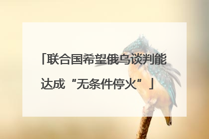 联合国希望俄乌谈判能达成“无条件停火”