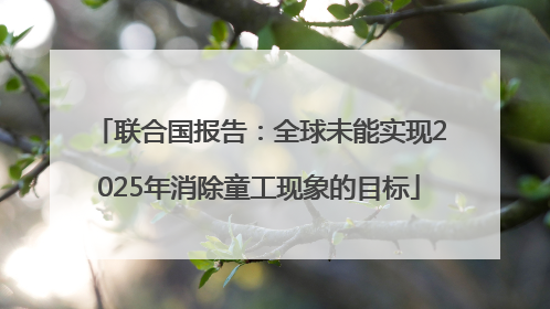 联合国报告：全球未能实现2025年消除童工现象的目标