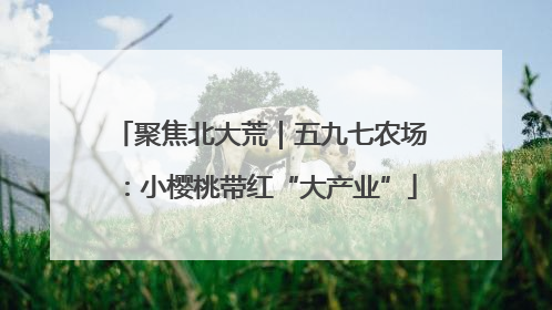 聚焦北大荒｜五九七农场：小樱桃带红“大产业”