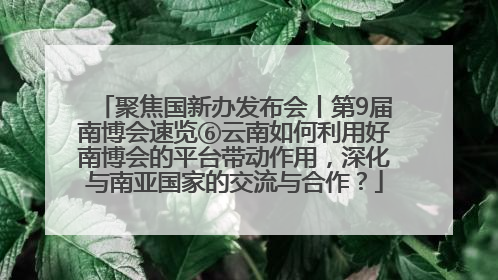 聚焦国新办发布会丨第9届南博会速览⑥云南如何利用好南博会的平台带动作用，深化与南亚国家的交流与合作？