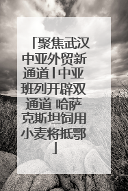 聚焦武汉中亚外贸新通道│中亚班列开辟双通道 哈萨克斯坦饲用小麦将抵鄂