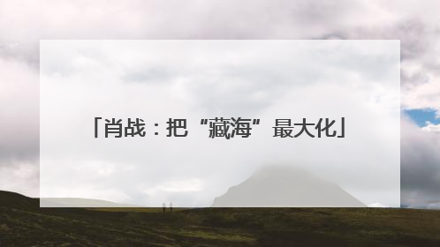肖战：把“藏海”最大化