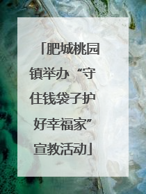 肥城桃园镇举办“守住钱袋子护好幸福家”宣教活动