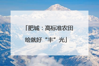 肥城：高标准农田绘就好“丰”光