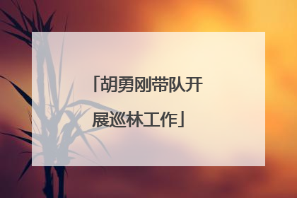 胡勇刚带队开展巡林工作