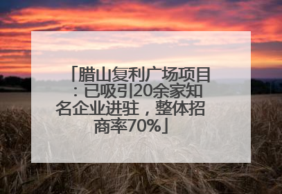 腊山复利广场项目：已吸引20余家知名企业进驻，整体招商率70%
