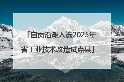 自贡沿滩入选2025年省工业技术改造试点县