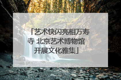 艺术快闪亮相万寿寺 北京艺术博物馆开展文化雅集