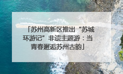 苏州高新区推出“苏城环游记”非遗主题游：当青春邂逅苏州古韵