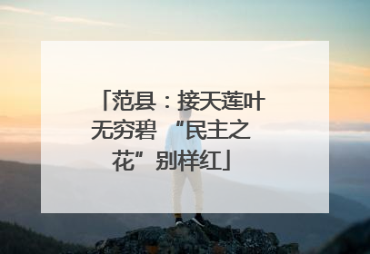范县：接天莲叶无穷碧 “民主之花”别样红