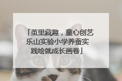 茧里藏趣，童心创艺 乐山实验小学养蚕实践绘就成长画卷
