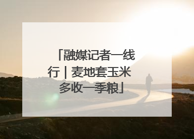 融媒记者一线行｜麦地套玉米 多收一季粮