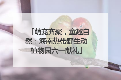萌宠齐聚，童趣自然：海南热带野生动植物园六一献礼